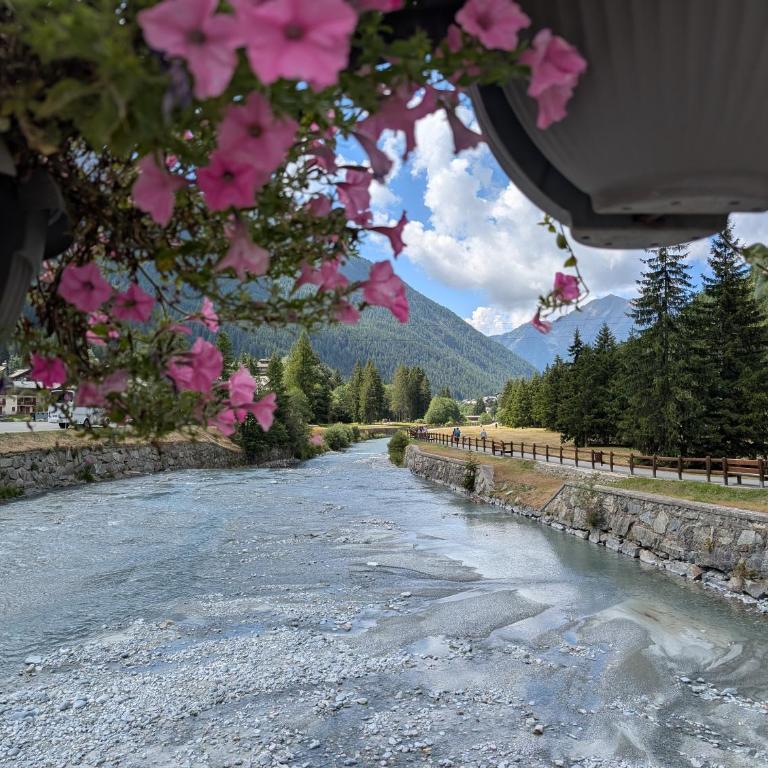 Maison Poluc - Chiaro di Luna - Appartamento con Vista Montagna - 16