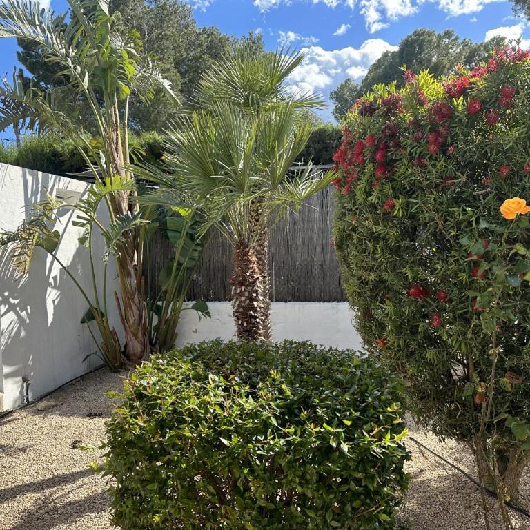 02 Athenais - Casa - 24