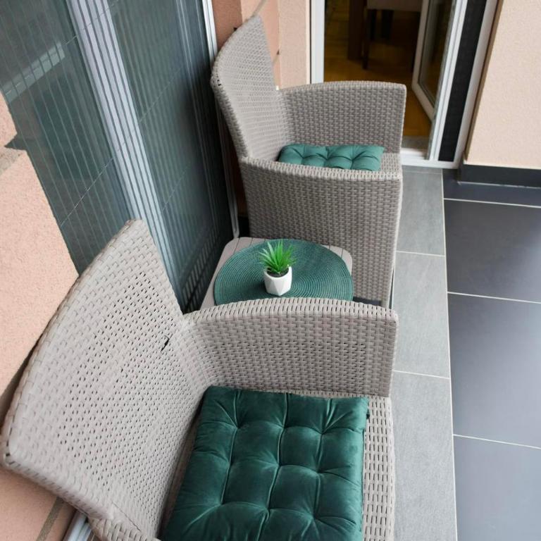 Apartman Stefan Vrnjacka Banja-centar,besplatan parking,wi-fi - Apartman sa 1 Spavaćom Sobom - 4
