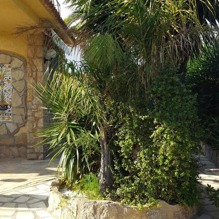 12 Esperanza - Casa - 27