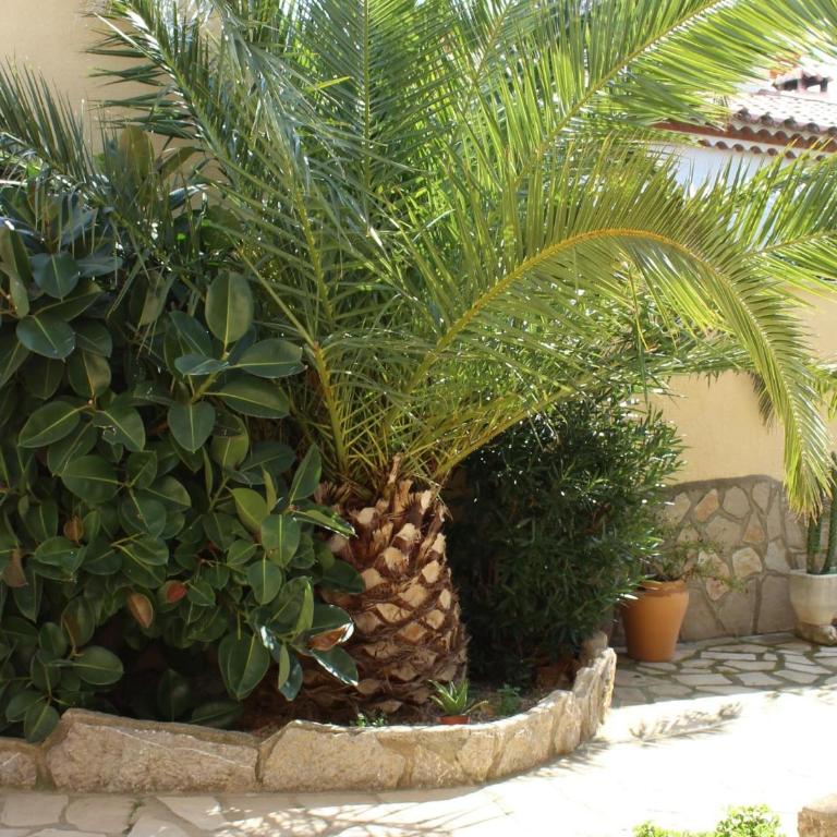 12 Esperanza - Casa - 36
