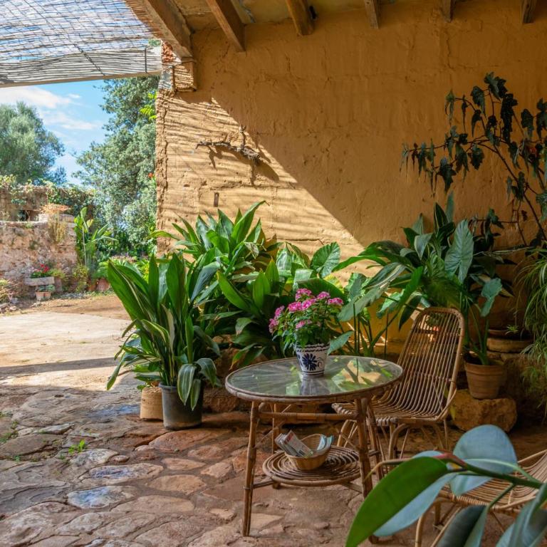 Son Mayol - Agroturismo - Appartement 2 Pièces - 2