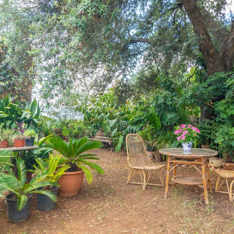 Son Mayol - Agroturismo - Appartement 2 Pièces - 4