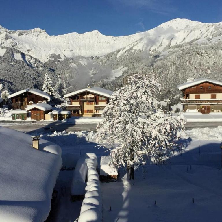 Alpine stay at the foot of the slopes - Appartement - 23