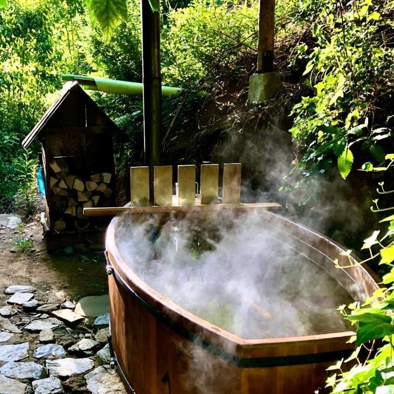 La Rueda del Chucao - Apartamento de 1 dormitorio con vistas al río - 1