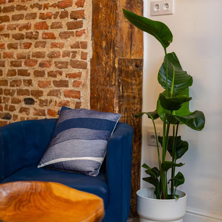 7 Matices - Apartamento - 12