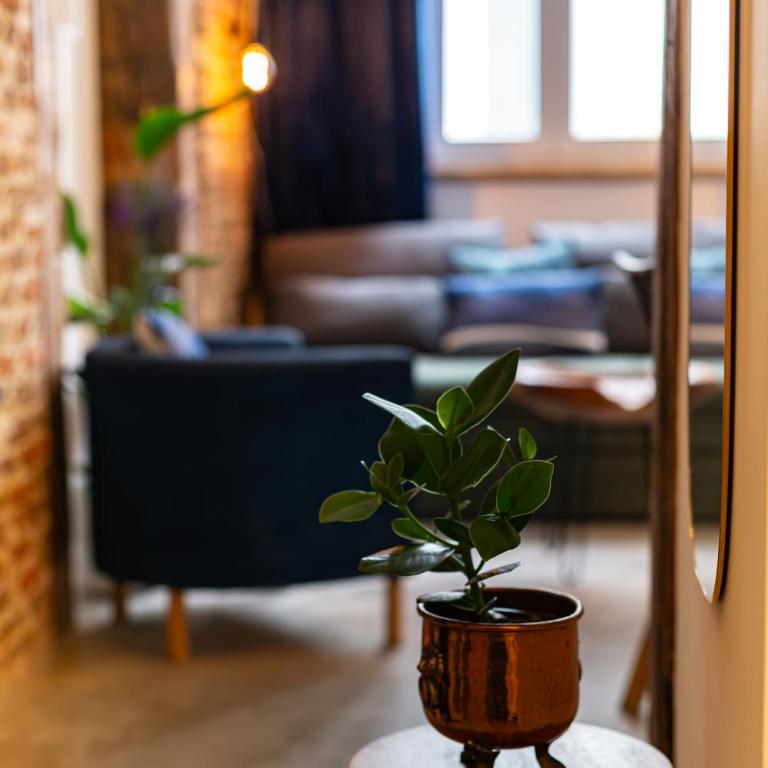 7 Matices - Apartamento - 11