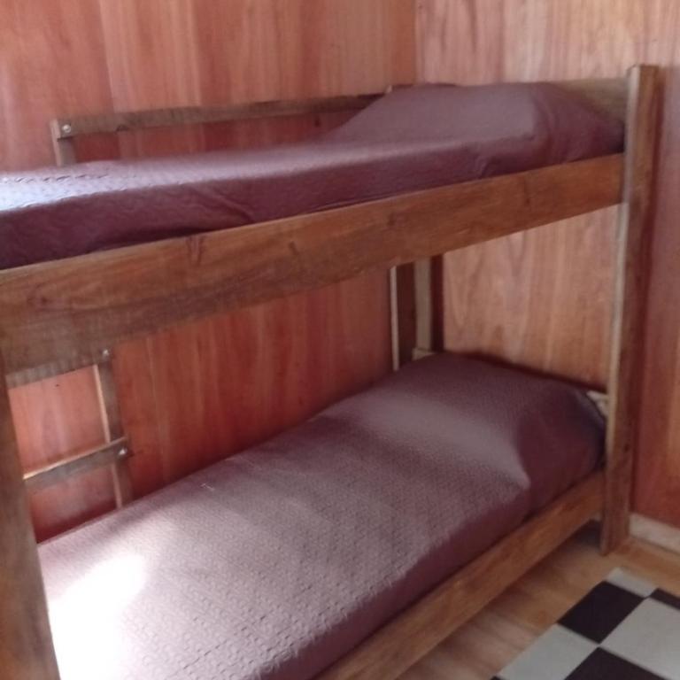 Pura vida hostel - Single Bed in Dormitory Room - 1