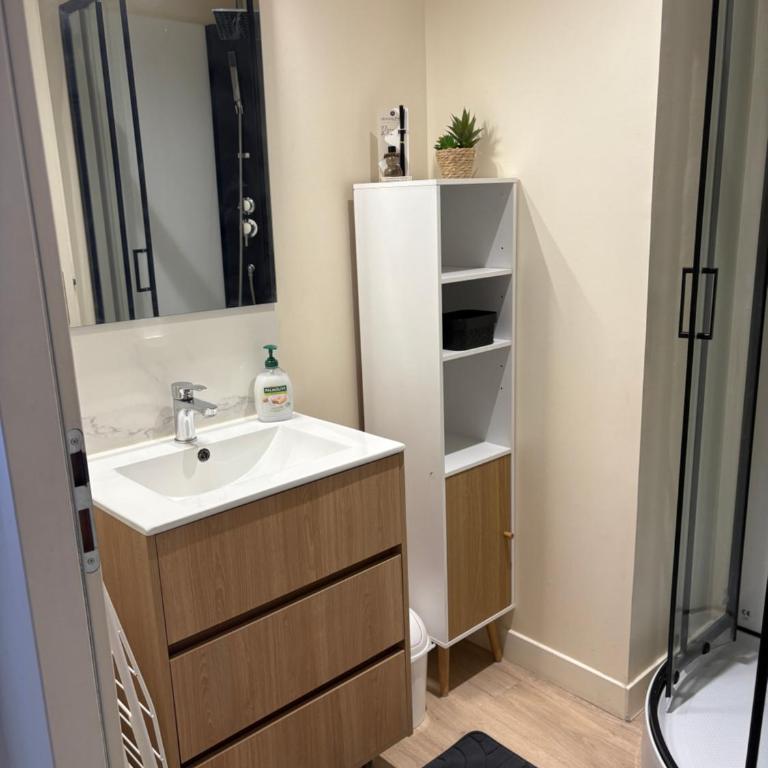 Le Charmant-T2 rénové-Plein centre de Limoges - Appartement 1 Chambre - 6