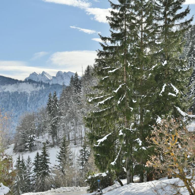 Chalet Les Bottes Rouges - Chalet - 27
