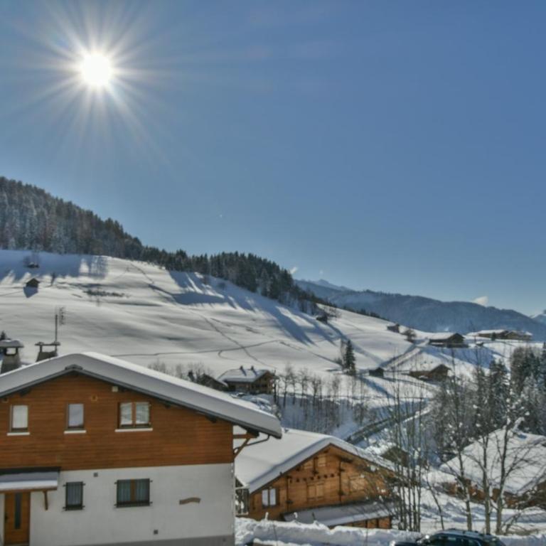 Chalet Mitoyen - Rosa - Chalet - 2
