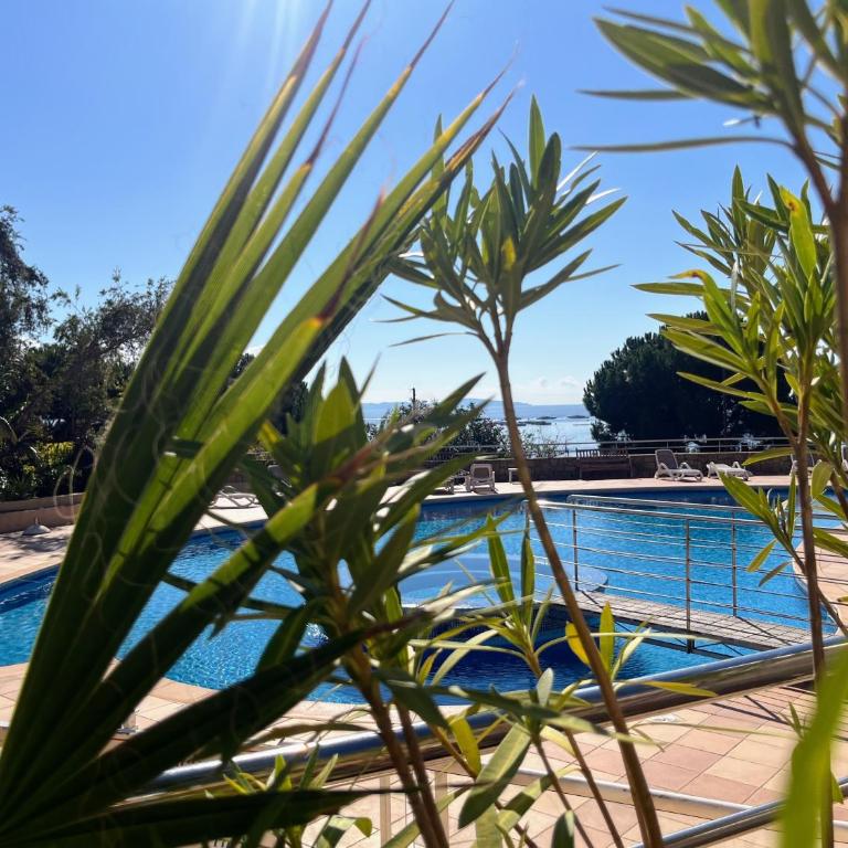 Bel appartement avec piscine à 2 pas de la mer - Appartamento con 2 Camere da Letto e Vista Mare - 10