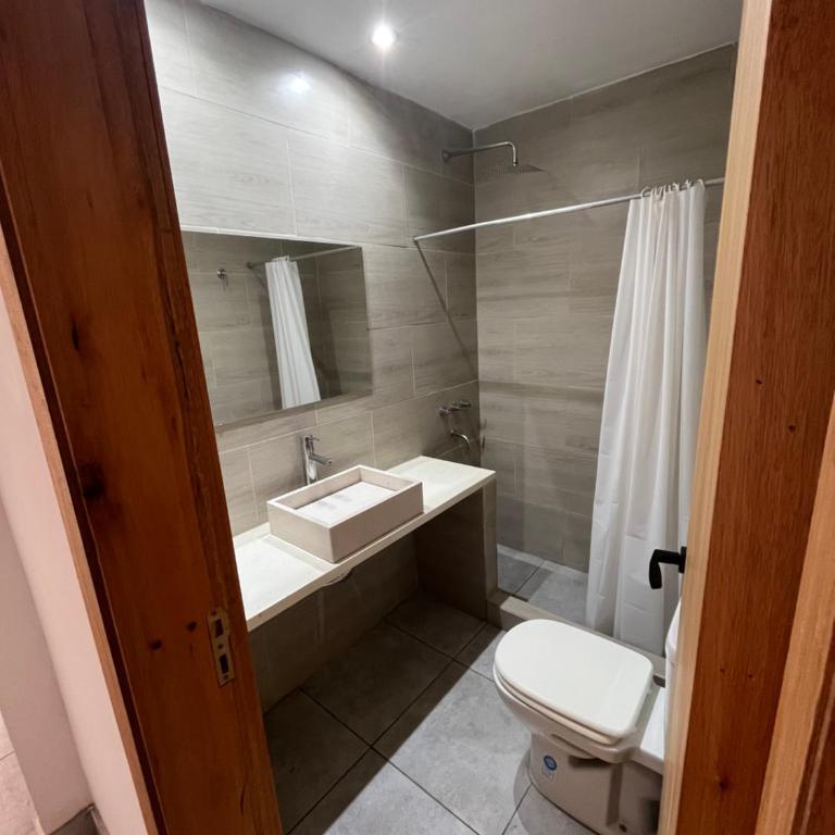 Departamentos a estrenar, zona parque - One-Bedroom House - 7