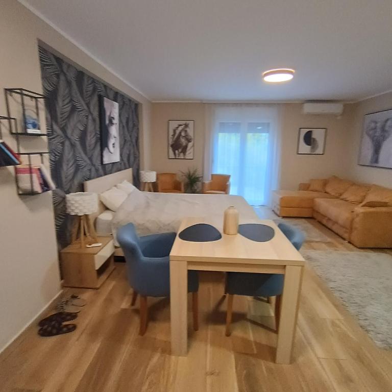 APARTMANI PORTA INFINITAS centar - Deluks Studio - 4