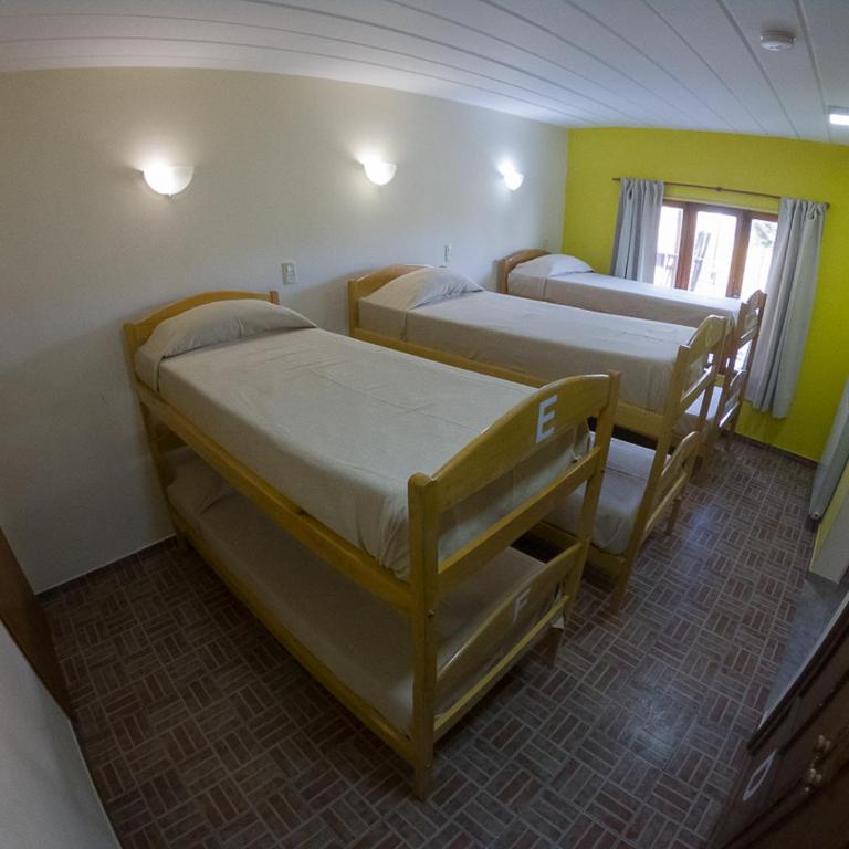 Hostel Pioneros del Valle - Cama Individual en dormitorio compartido de 6 camas - 2