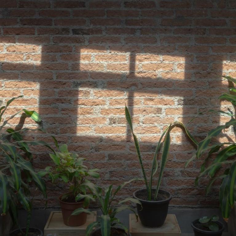 Industrial House in Mendoza with Jacuzzi - Casa de 3 dormitorios - 19