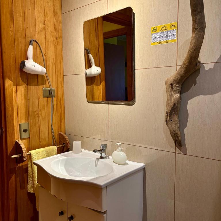 La Rueda del Chucao - Apartamento de 1 dormitorio con vistas al río - 15