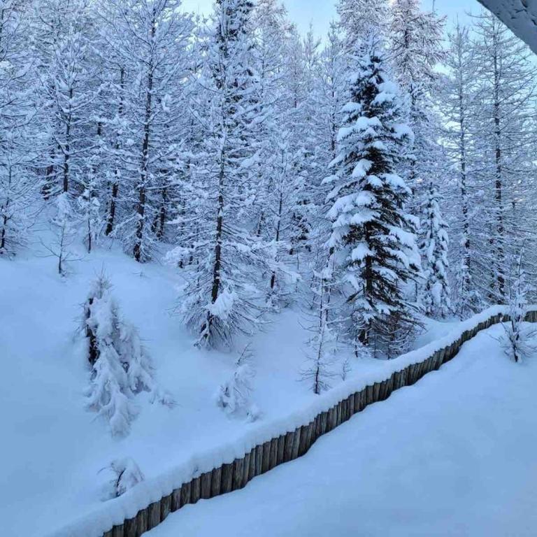 Très beau studio pieds des pistes tout rénové - Appartement 1 Chambre - 2