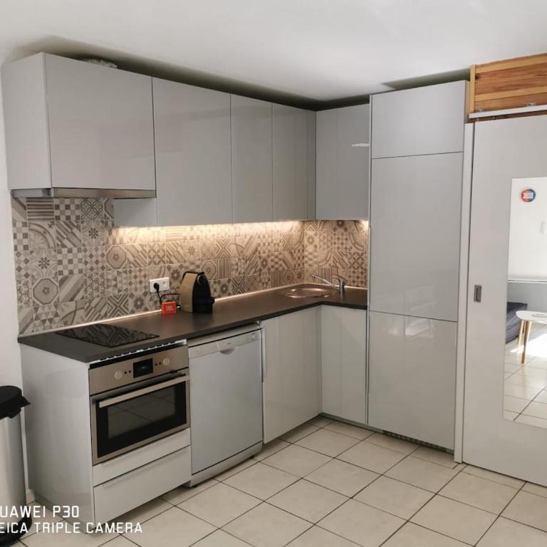 Très beau studio pieds des pistes tout rénové - Appartement 1 Chambre - 4