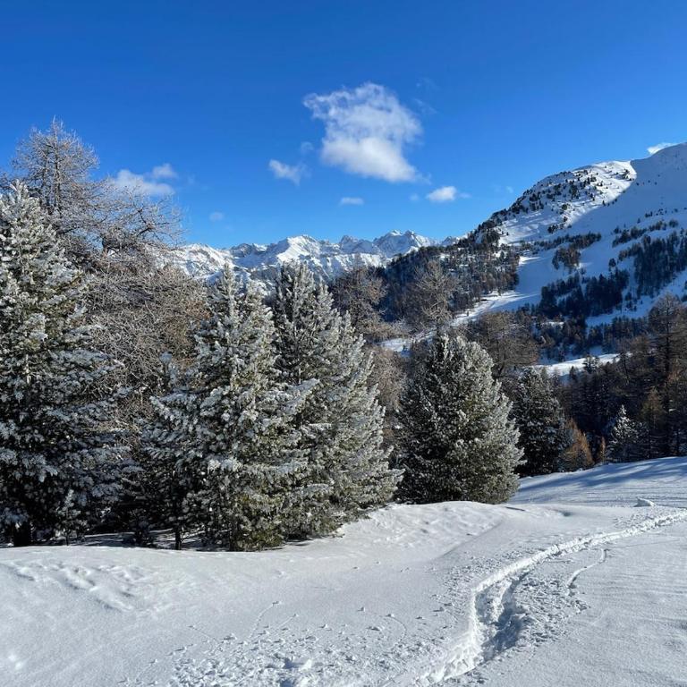 Très beau studio pieds des pistes tout rénové - Appartement 1 Chambre - 6