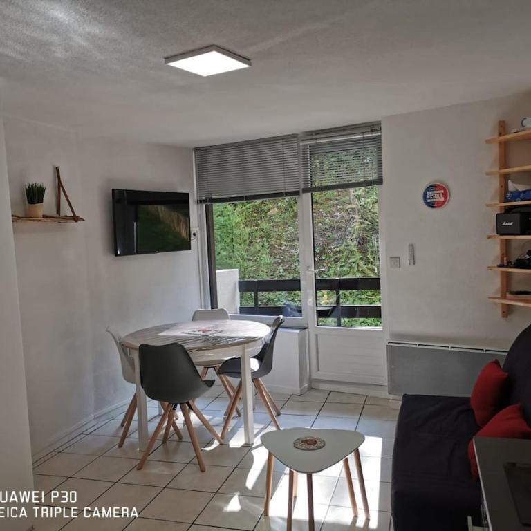 Très beau studio pieds des pistes tout rénové - Appartement 1 Chambre - 8