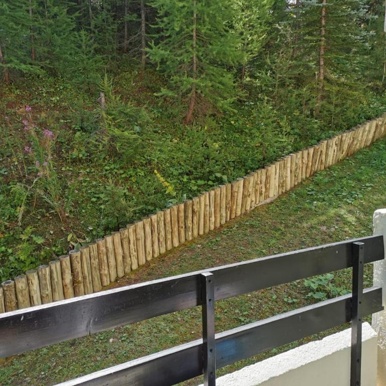 Très beau studio pieds des pistes tout rénové - Appartement 1 Chambre - 26