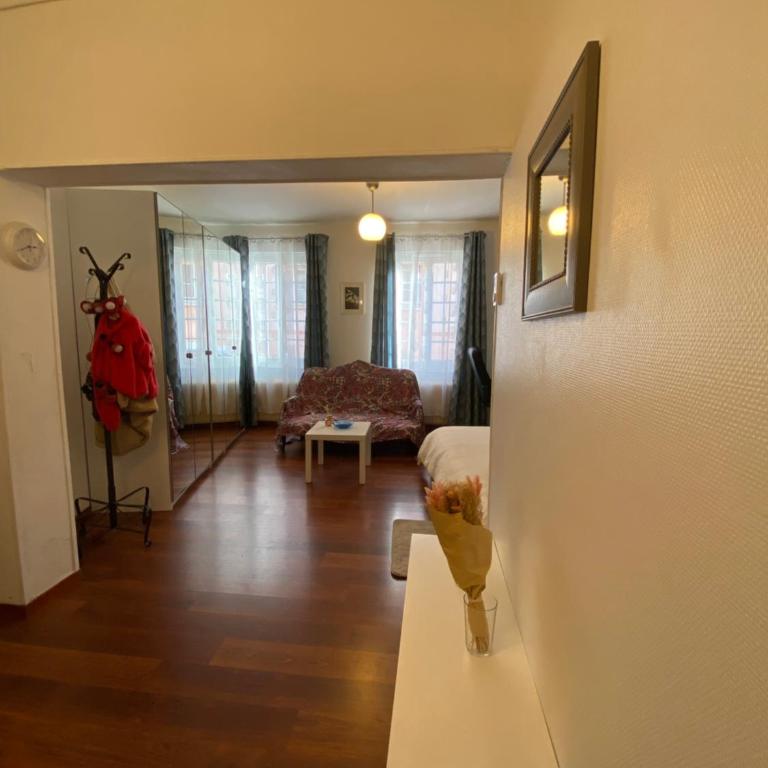 Studio miroir-arrivée autonome-animal ok - One-Bedroom Apartment - 36