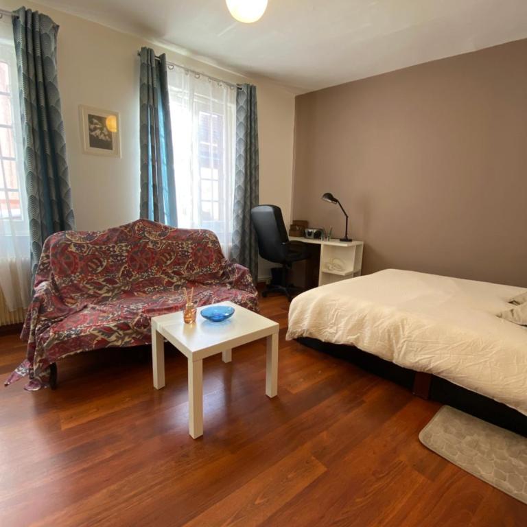 Studio miroir-arrivée autonome-animal ok - One-Bedroom Apartment - 38