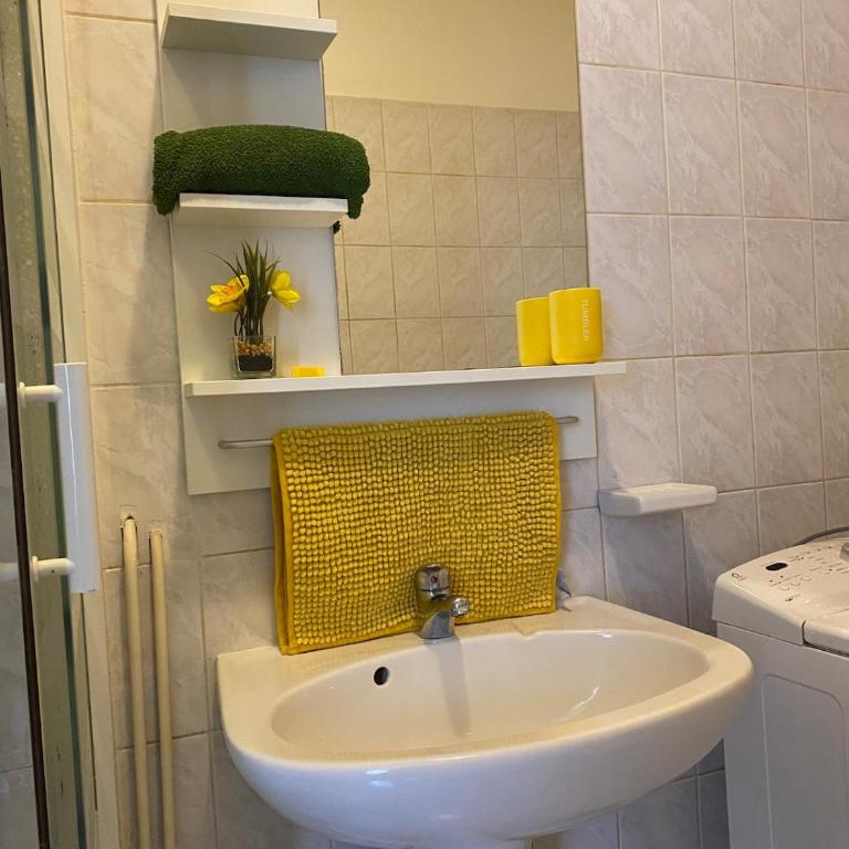 Studio miroir-arrivée autonome-animal ok - One-Bedroom Apartment - 12