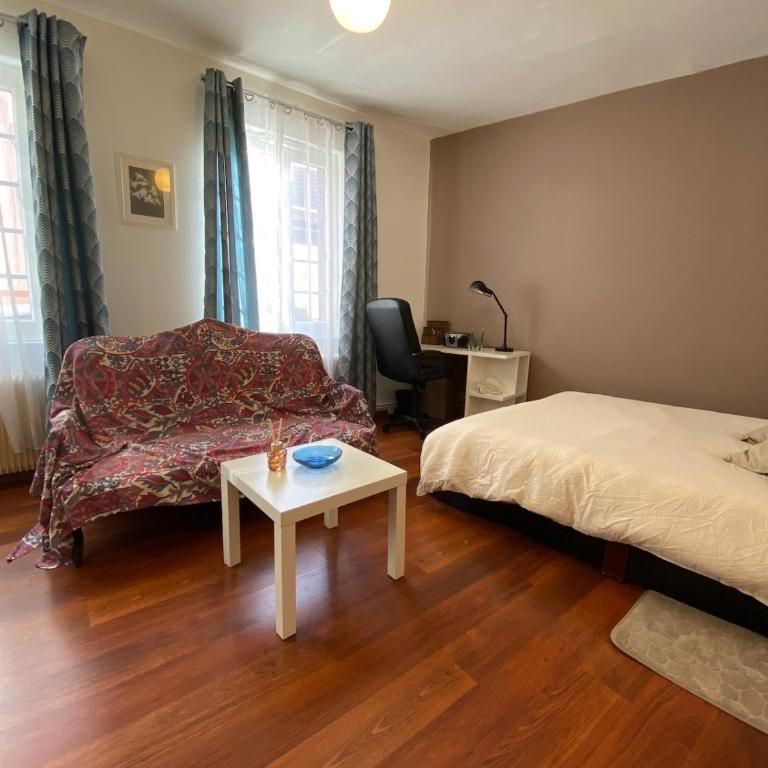 Studio miroir-arrivée autonome-animal ok - One-Bedroom Apartment - 9