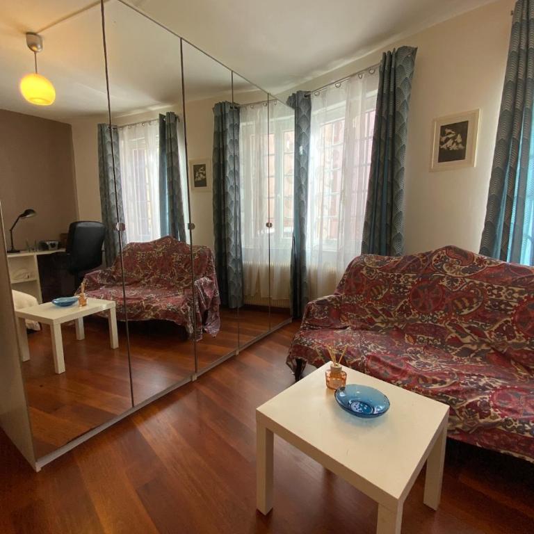 Studio miroir-arrivée autonome-animal ok - One-Bedroom Apartment - 7