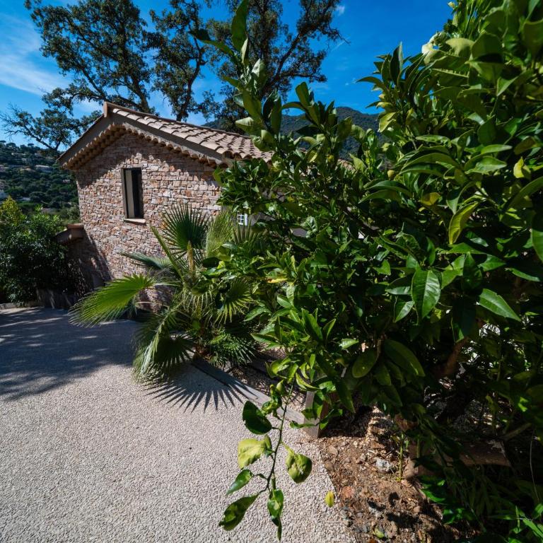La Maison des Chênes - 5 étoiles - Villa - 52