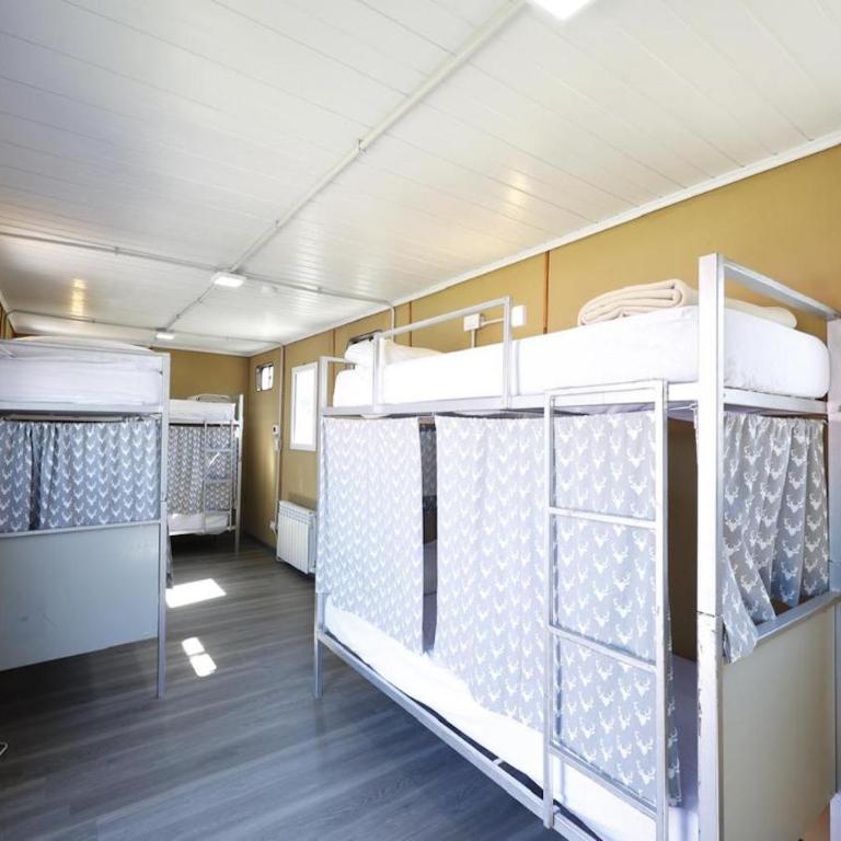Lo de Trivi - Bunk Bed in Mixed Dormitory Room - 6