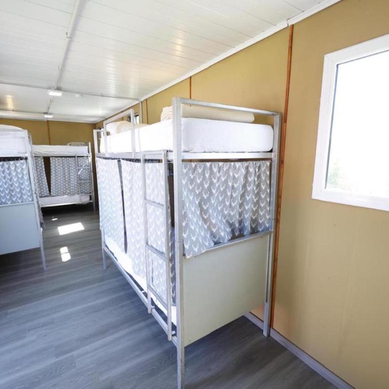 Lo de Trivi - Bunk Bed in Mixed Dormitory Room - 7