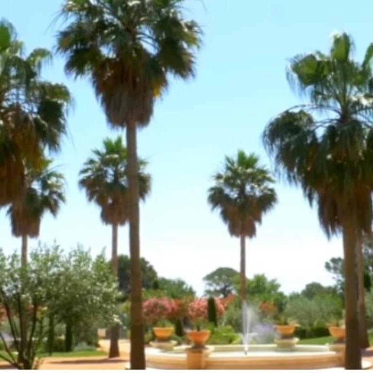 Résidence standing - T2 terrace with pool - Apartamento - 14