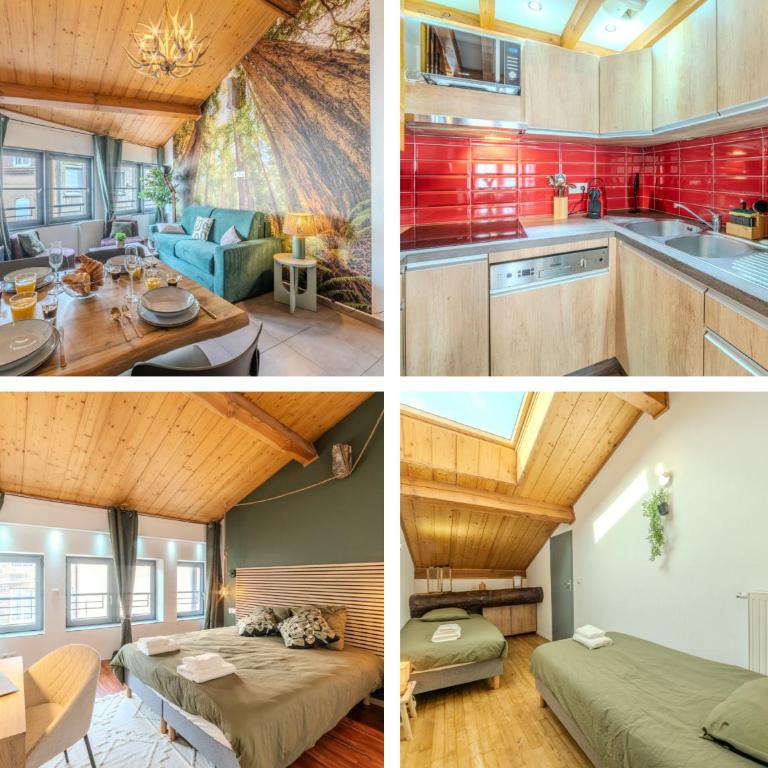 T3 Amérique du Nord 4-6p - Climatisé - Centre-ville St Étienne - Apartment mit 2 Schlafzimmern - 18