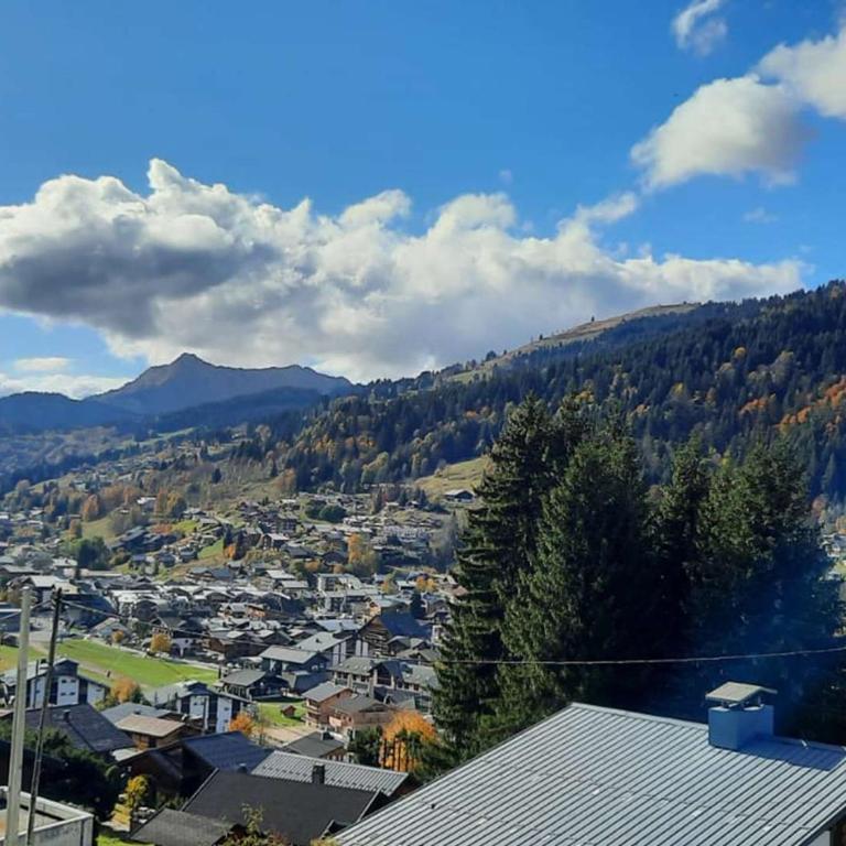 Les Gets Duplex 3P - 6 Pers, Confortable, Garage - FR-1-802-73 - Apartment - 23
