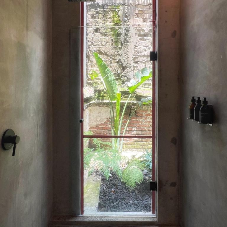 Xolo Condesa - Apartamento de 2 dormitorios con terraza - 6
