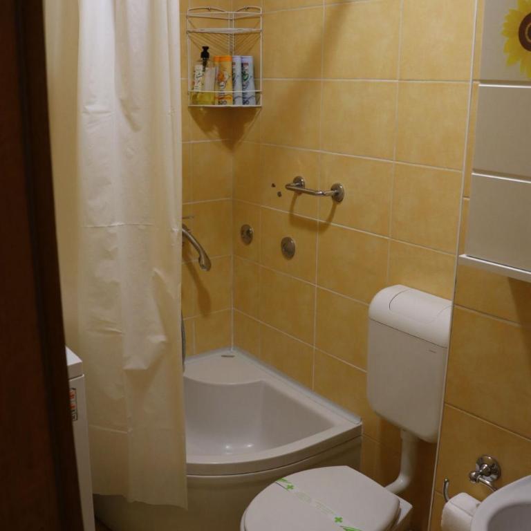 Apartment RENA - private parking - Apartman sa 1 Spavaćom Sobom - 11