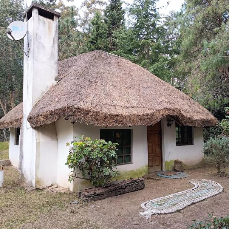 Casa Quincho en el Bosque - Casa con 1 dormitorio - 4