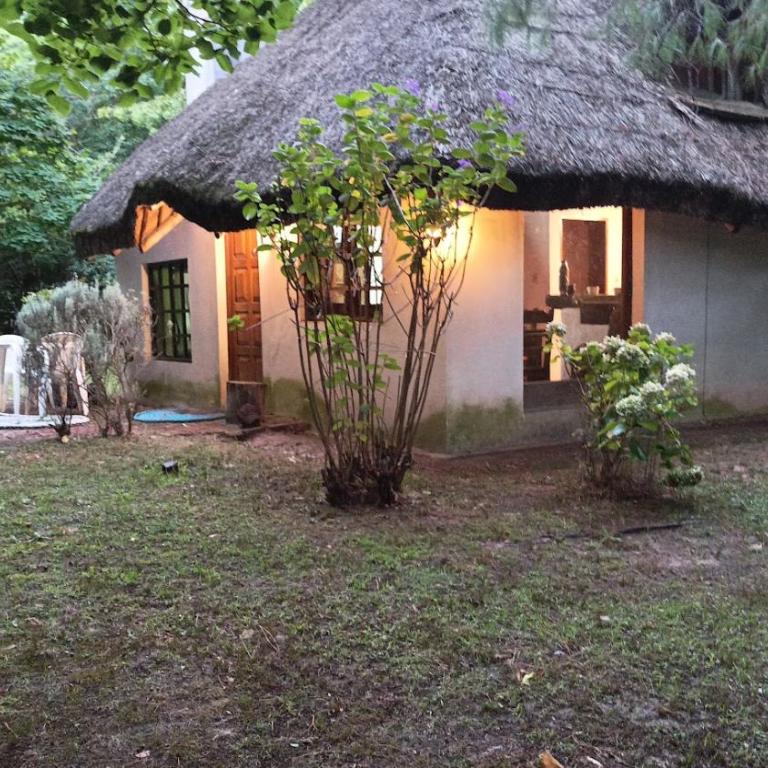 Casa Quincho en el Bosque - One-Bedroom House - 3