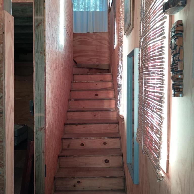 Mis dos amores diablo - Casa de 2 dormitorios - 11