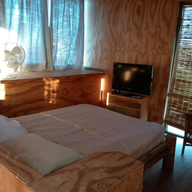 Mis dos amores diablo - Casa de 2 dormitorios - 13