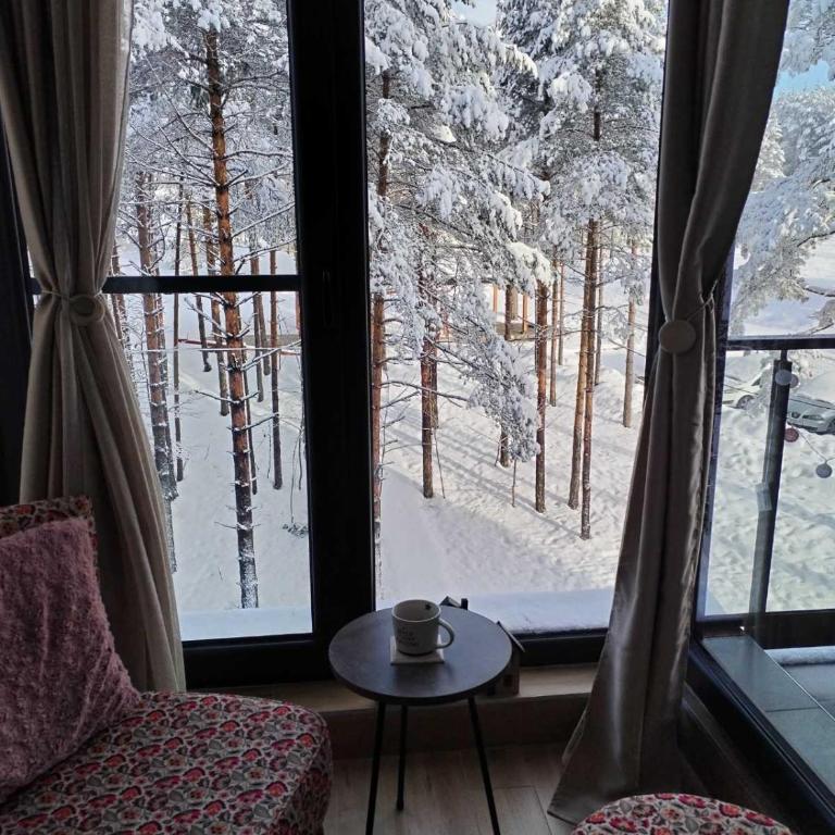 MONA Apartman Divčibare - Apartman sa 1 Spavaćom Sobom - 14