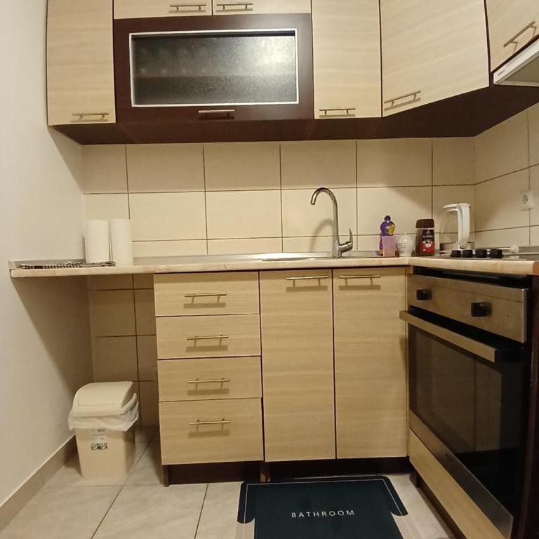 Apartman Vasilije - One-Bedroom Apartment - 7