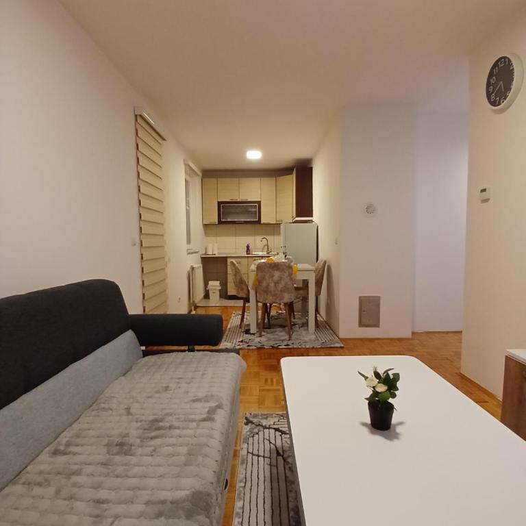 Apartman Vasilije - One-Bedroom Apartment - 9