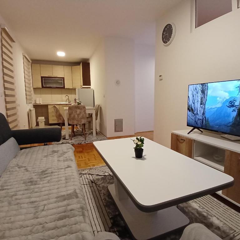 Apartman Vasilije - One-Bedroom Apartment - 10