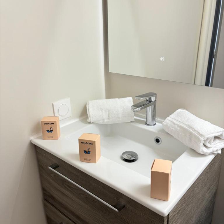 Le Pasteur Élégant T2 au centre de Mulhouse - Apartamento de 1 dormitorio - 11