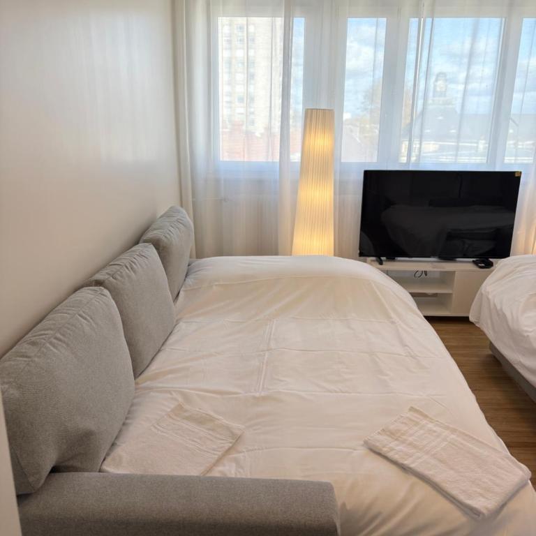 Le Pasteur Élégant T2 au centre de Mulhouse - Apartamento de 1 dormitorio - 22