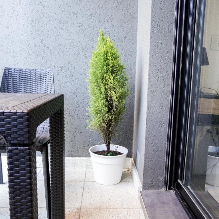 Bnb Loft V - Apartamento de 1 dormitorio - 2